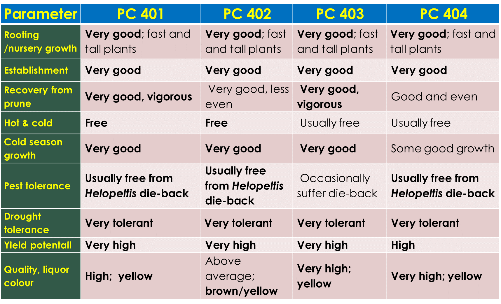 Desired attributes of the new tea clones Image